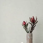 A-Street Prints Alba - Pearl Wallpaper | Buy Online A-Street Prints Alba wallpaper, color Pearl, SKU 4193-7400