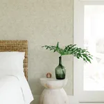 A-Street Prints Aldabra - Taupe Wallpaper | Buy Online A-Street Prints Aldabra wallpaper, color Taupe, SKU 4014-26400