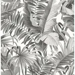 A-Street Prints Alfresco wallpaper, color Black, SKU 2744-24134