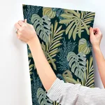 A-Street Prints Alocasia - Green Wallpaper | Buy Online A-Street Prints Alocasia wallpaper, color Green, SKU 4177-27739