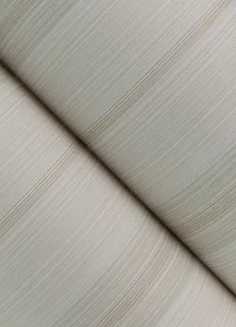 A-Street Prints Ames wallpaper, color Beige, SKU 4173-27662