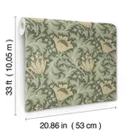 A-Street Prints Anemone - Moss Wallpaper | Buy Online A-Street Prints Anemone wallpaper, color Moss, SKU 4153-82004