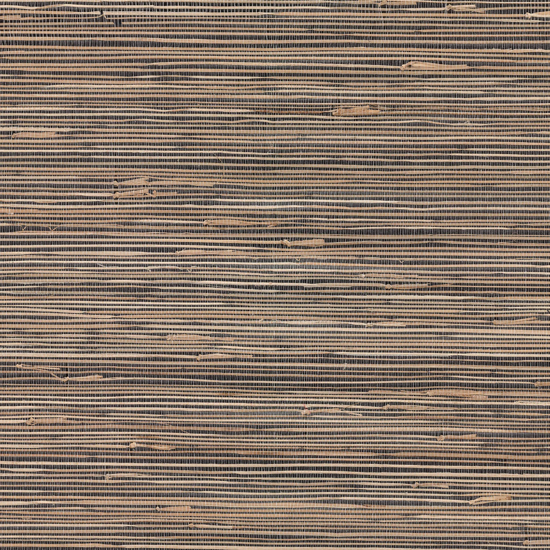 A-Street Prints Anhui wallpaper, color Black, SKU 2923-89475