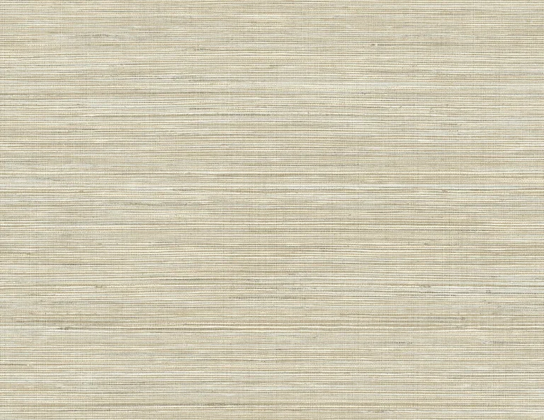 A-Street Prints Baja wallpaper, color Beige, SKU 2829-41507