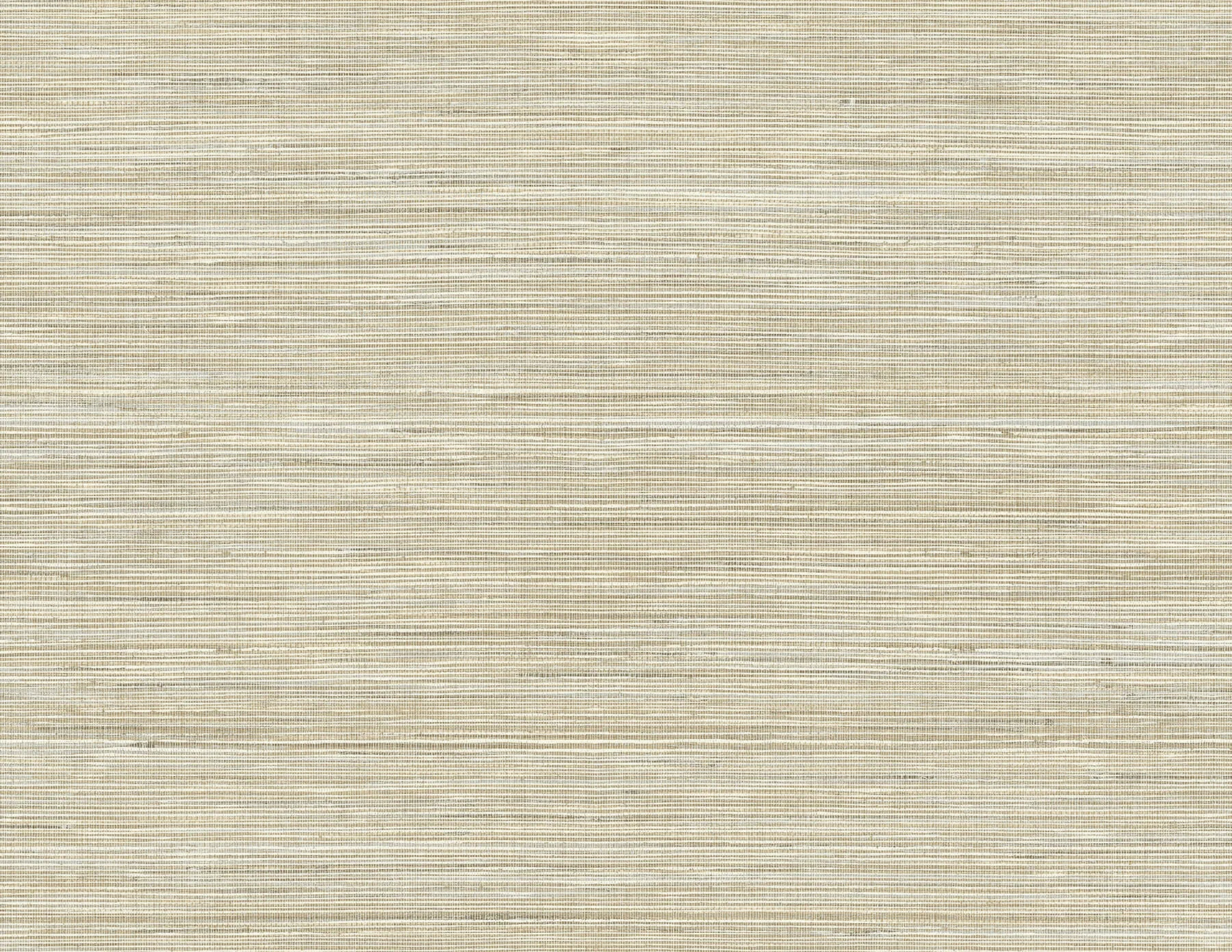 A-Street Prints Baja wallpaper, color Beige, SKU 2829-41507