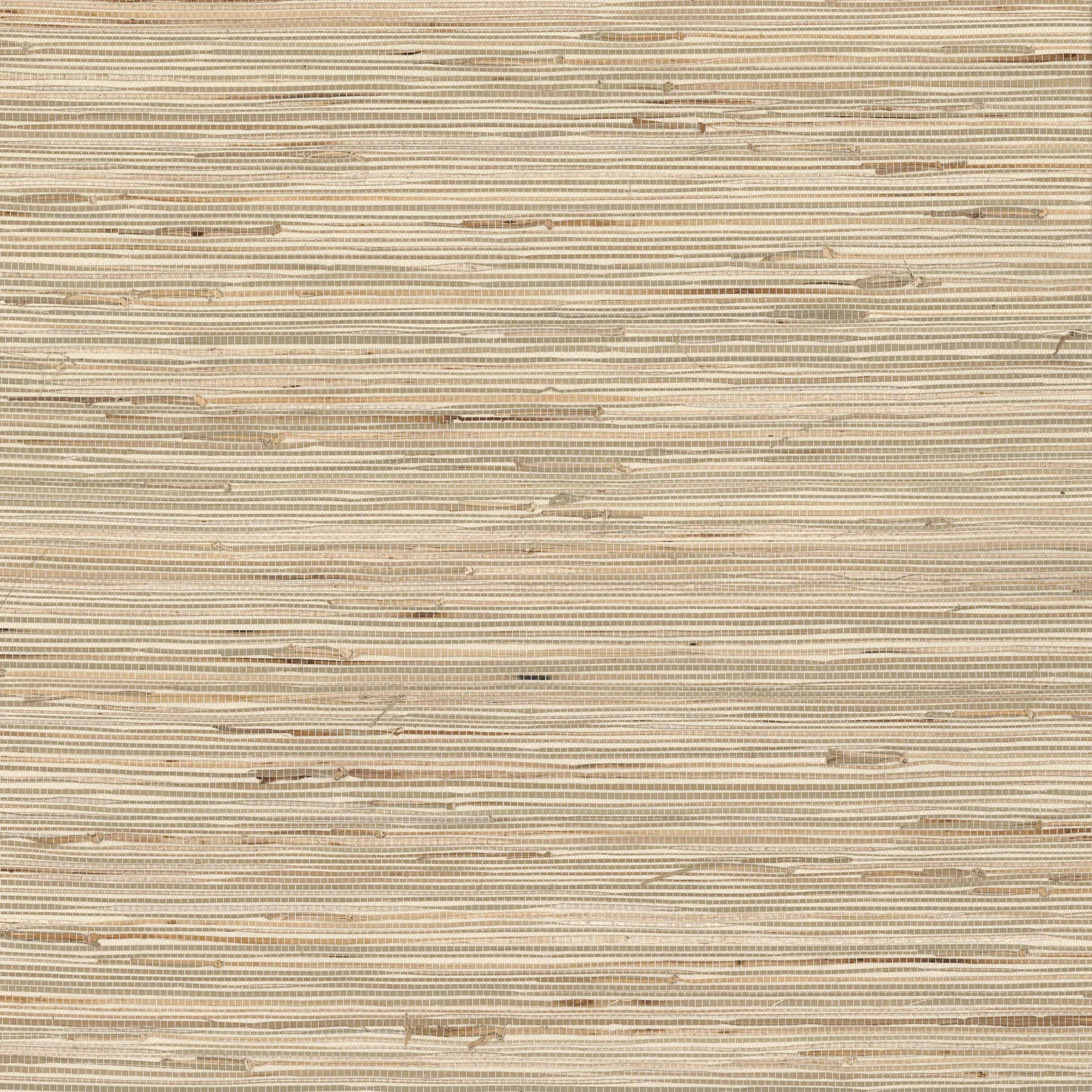 A-Street Prints Bataan wallpaper, color Wheat, SKU 2829-65621
