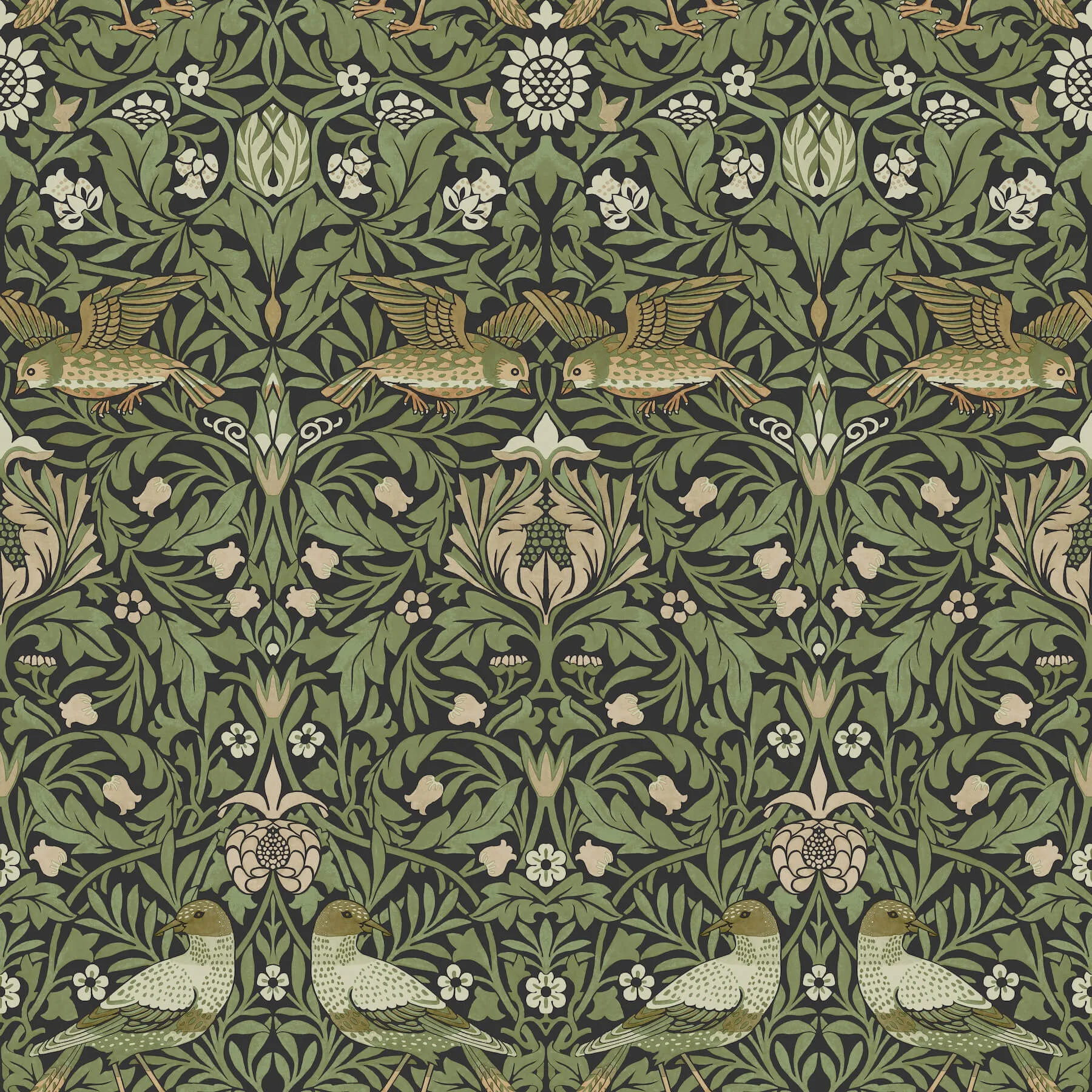 A-Street Prints Bird wallpaper, color Green, SKU 4171-82063