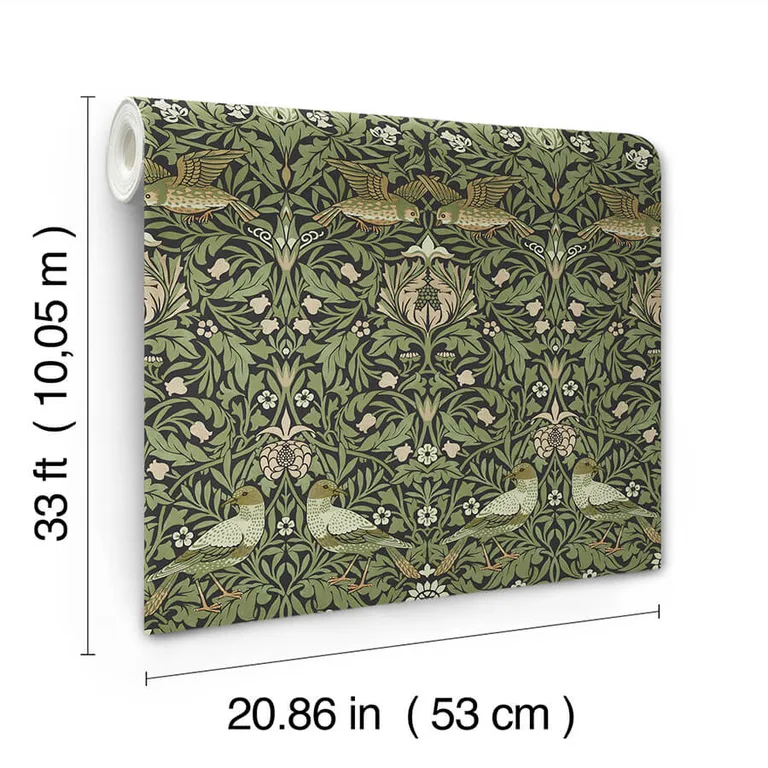 A-Street Prints Bird wallpaper, color Green, SKU 4171-82063
