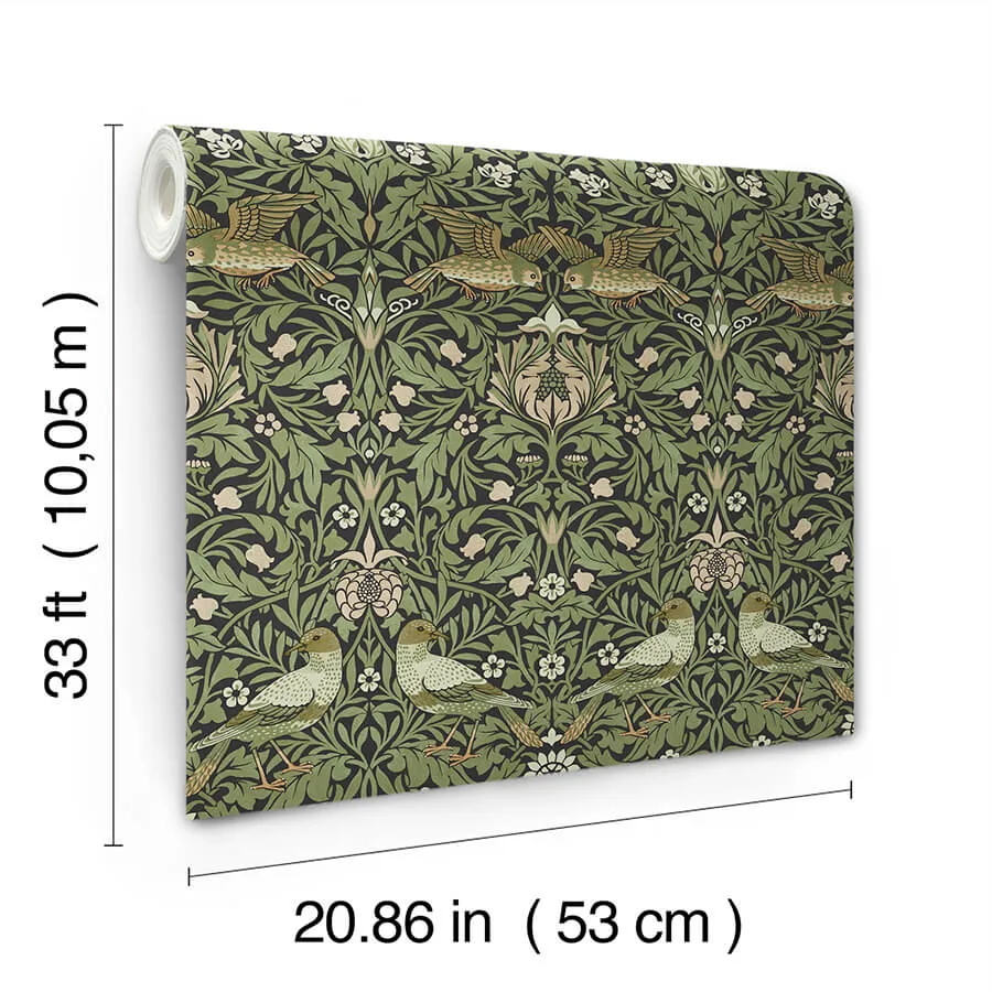 A-Street Prints Bird wallpaper, color Green, SKU 4171-82063