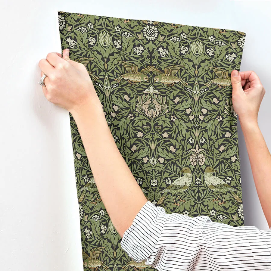 A-Street Prints Bird wallpaper, color Green, SKU 4171-82063