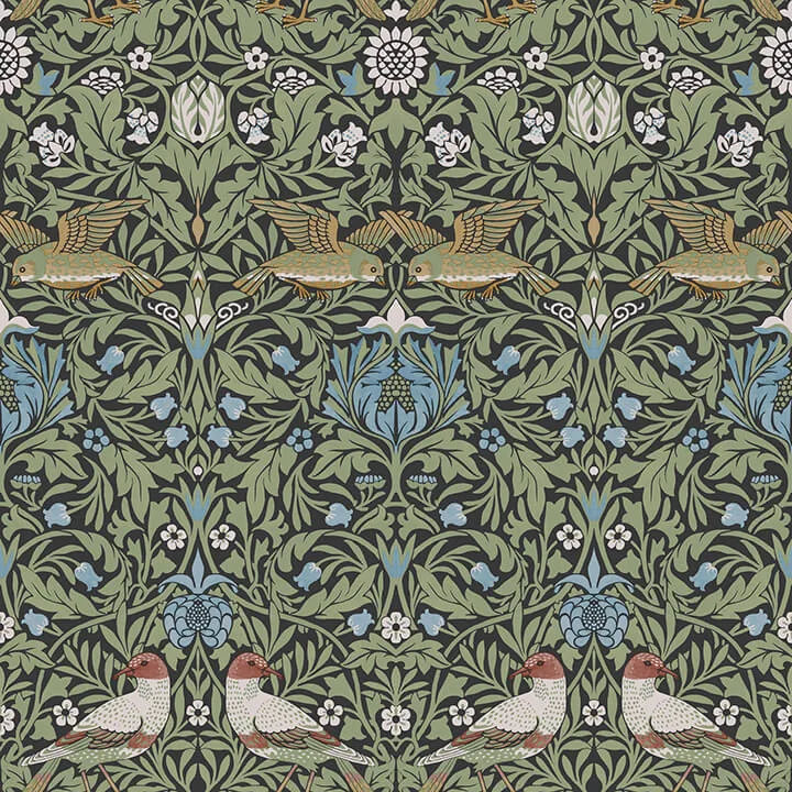A-Street Prints Bird wallpaper, color Multicolor, SKU 4171-82062