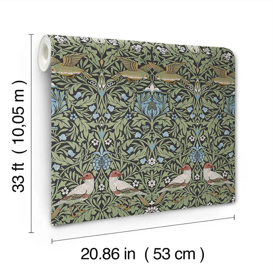 A-Street Prints Bird - Multicolor Wallpaper | Buy Online A-Street Prints Bird wallpaper, color Multicolor, SKU 4171-82062