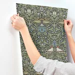 A-Street Prints Bird - Multicolor Wallpaper | Buy Online A-Street Prints Bird wallpaper, color Multicolor, SKU 4171-82062