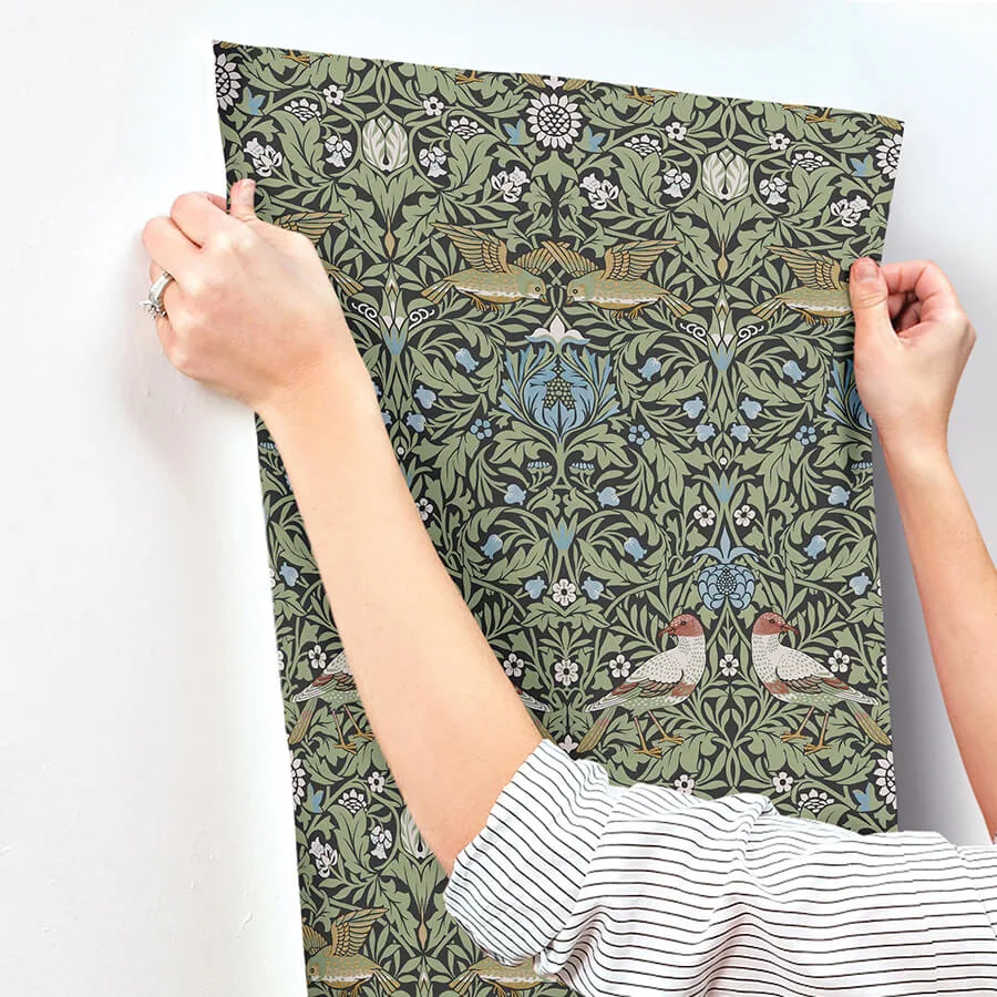 A-Street Prints Bird - Multicolor Wallpaper | Buy Online A-Street Prints Bird wallpaper, color Multicolor, SKU 4171-82062