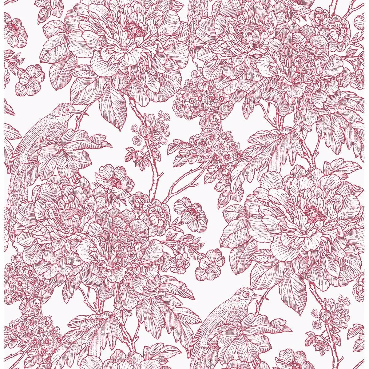A-Street Prints Birds of Paradise Breeze wallpaper, color Red, SKU 2901-25410