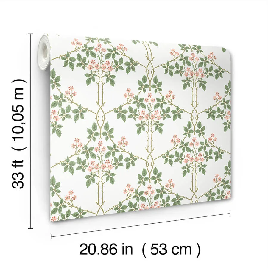 A-Street Prints Blackberry wallpaper, color Pink, SKU 4171-82054
