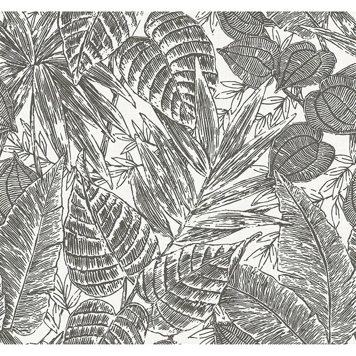 A-Street Prints Brentwood wallpaper, color Black, SKU 4034-72115
