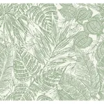 A-Street Prints Brentwood - Green Wallpaper | Buy Online A-Street Prints Brentwood wallpaper, color Green, SKU 4034-72116