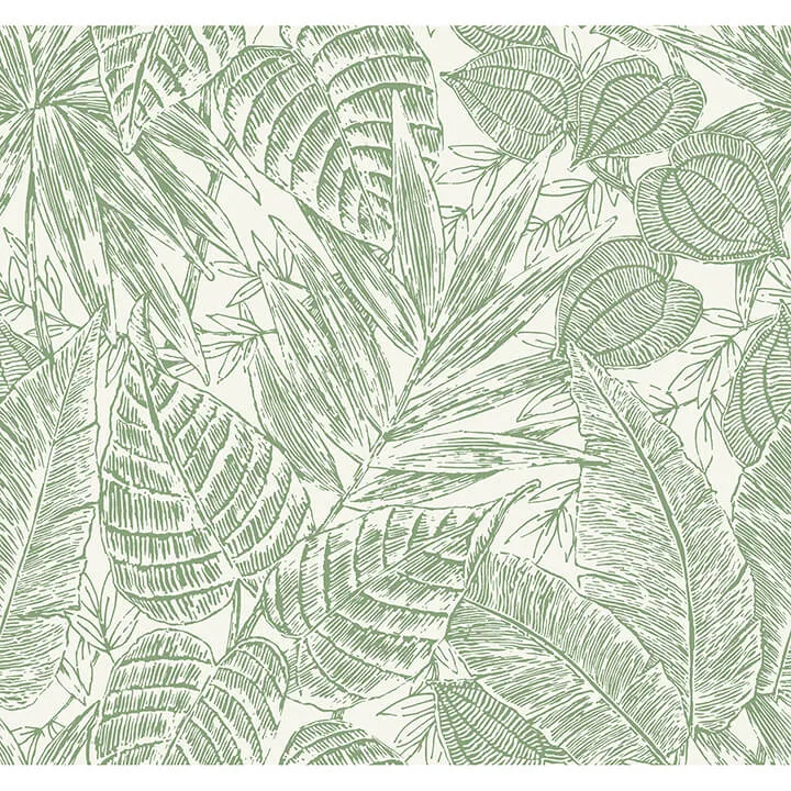 A-Street Prints Brentwood wallpaper, color Green, SKU 4034-72116