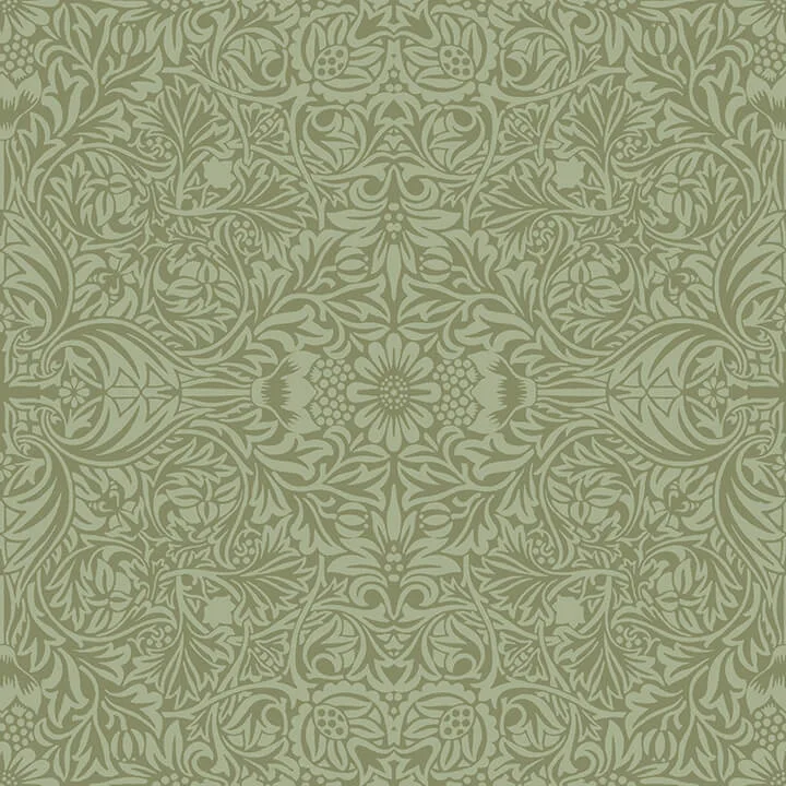 A-Street Prints Ceiling wallpaper, color Green, SKU 4171-82071