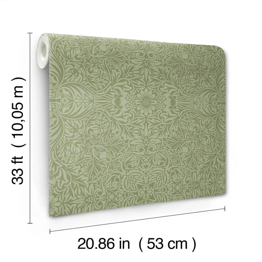 A-Street Prints Ceiling - Green Wallpaper | Buy Online A-Street Prints Ceiling wallpaper, color Green, SKU 4171-82071