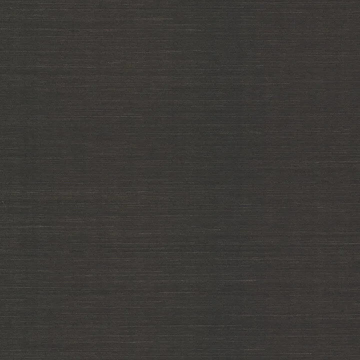 A-Street Prints Colcord wallpaper, color Black, SKU 4034-72100