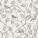 A-Street Prints Crossbill - Off White Wallpaper | Buy Online A-Street Prints Crossbill wallpaper, color Off White, SKU 2948-27015