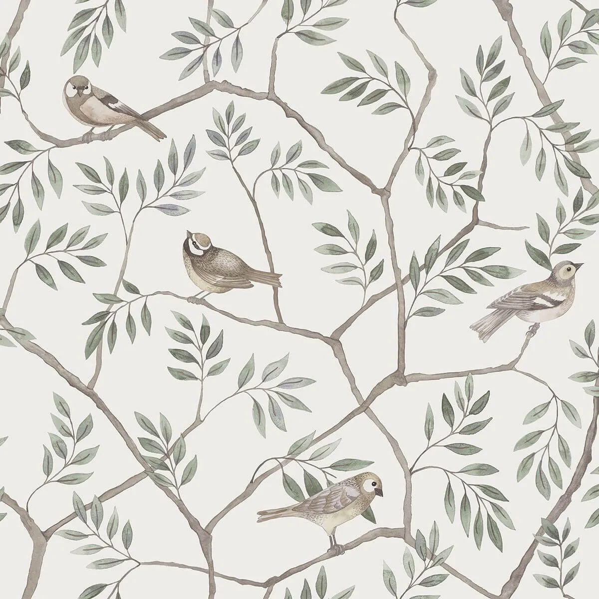 A-Street Prints Crossbill wallpaper, color Off White, SKU 2948-27015