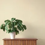 A-Street Prints Cullen - Khaki Wallpaper | Buy Online A-Street Prints Cullen wallpaper, color Khaki, SKU 4202-408256