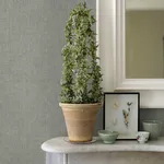 A-Street Prints Donmei - Grey Wallpaper | Buy Online A-Street Prints Donmei wallpaper, color Grey, SKU 2972-86135