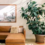 A-Street Prints Encircle - Dove Wallpaper | Buy Online A-Street Prints Encircle wallpaper, color Dove, SKU 4146-27201