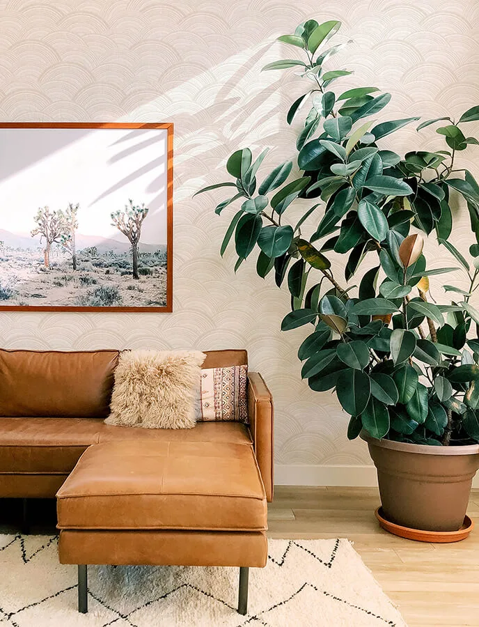 A-Street Prints Encircle - Dove Wallpaper | Buy Online A-Street Prints Encircle wallpaper, color Dove, SKU 4146-27201