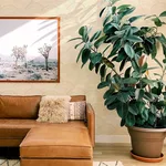 A-Street Prints Encircle - Yellow Wallpaper | Buy Online A-Street Prints Encircle wallpaper, color Yellow, SKU 4146-27204