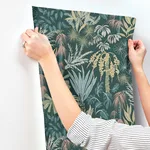A-Street Prints Everglades wallpaper, color Dark Green, SKU 4172-27480