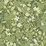 A-Street Prints Ewald - Green Wallpaper | Buy Online A-Street Prints Ewald wallpaper, color Green, SKU 2932-65121