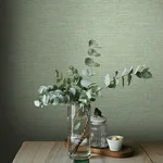 A-Street Prints Exhale wallpaper, color Light Green, SKU 4143-26457