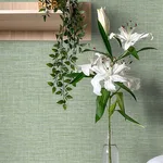 A-Street Prints Exhale wallpaper, color Light Green, SKU 4143-26457