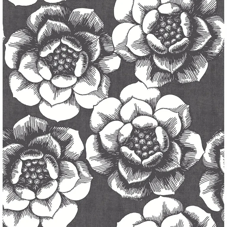 A-Street Prints Fanciful wallpaper, color Black, SKU 2763-24206