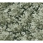 A-Street Prints Greenwood wallpaper, color Dark Green, SKU 4147-80004
