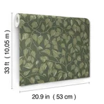 A-Street Prints Hängbjörk - Evergreen Wallpaper | Buy Online A-Street Prints Hängbjörk wallpaper, color Evergreen, SKU 4201-20108