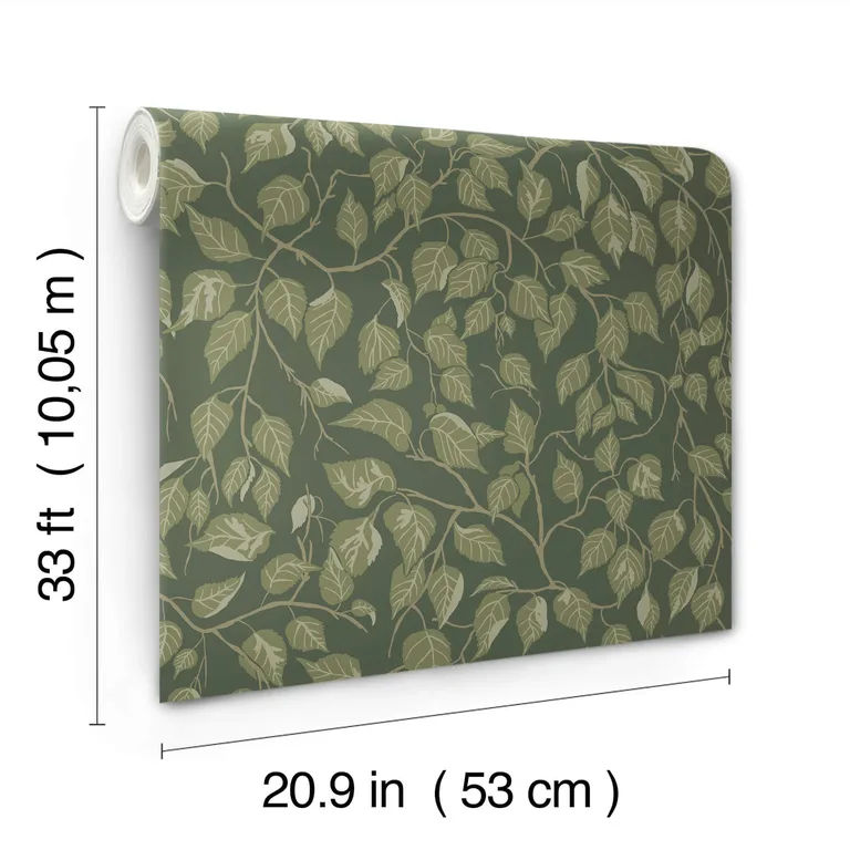 A-Street Prints Hängbjörk wallpaper, color Evergreen, SKU 4201-20108