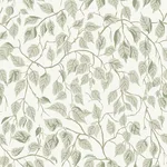 A-Street Prints Hängbjörk wallpaper, color Sage, SKU 4201-20107