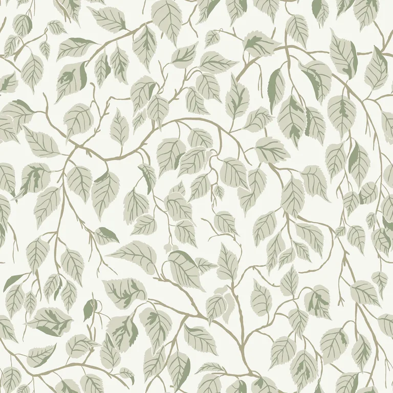 A-Street Prints Hängbjörk wallpaper, color Sage, SKU 4201-20107