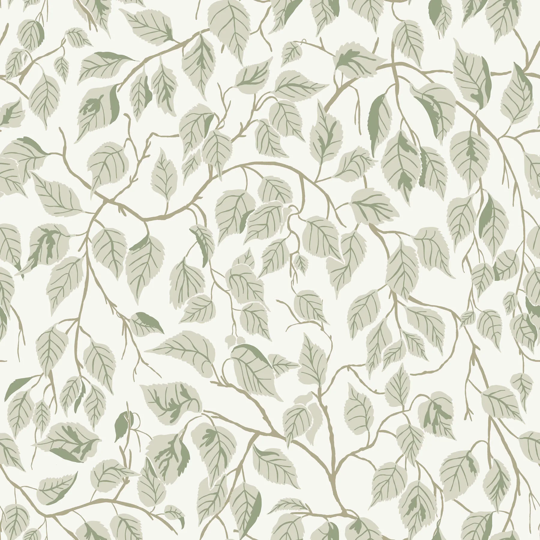 A-Street Prints Hängbjörk wallpaper, color Sage, SKU 4201-20107