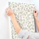 A-Street Prints Hängbjörk wallpaper, color Sage, SKU 4201-20107