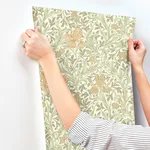 A-Street Prints Iris - Light Green Wallpaper | Buy Online A-Street Prints Iris wallpaper, color Light Green, SKU 4171-82049