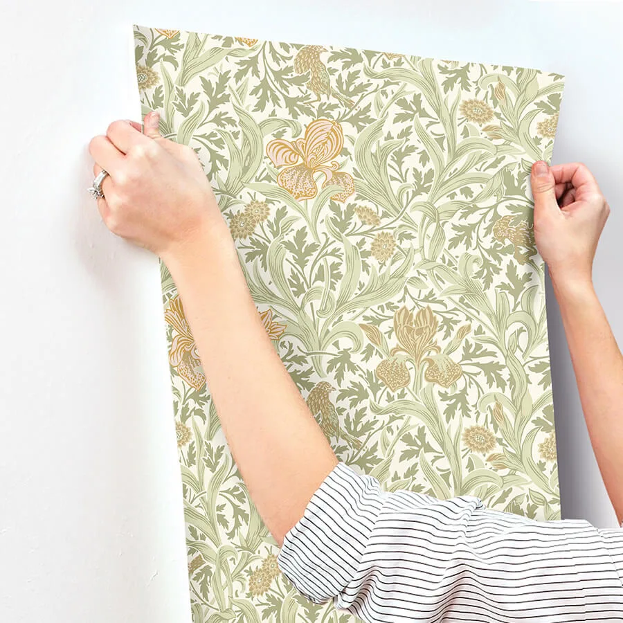 A-Street Prints Iris - Light Green Wallpaper | Buy Online A-Street Prints Iris wallpaper, color Light Green, SKU 4171-82049