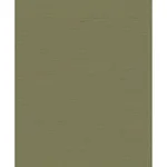A-Street Prints Kira - Sage Wallpaper | Buy Online A-Street Prints Kira wallpaper, color Sage, SKU 2972-86131