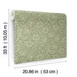 A-Street Prints Mallow wallpaper, color Green, SKU 4153-82041