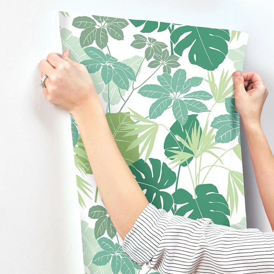 A-Street Prints Medellin - Green Wallpaper | Buy Online A-Street Prints Medellin wallpaper, color Green, SKU 4122-72409